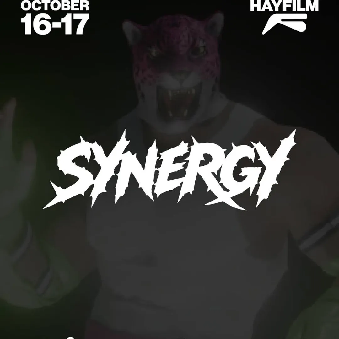SYNERGY Clubnight