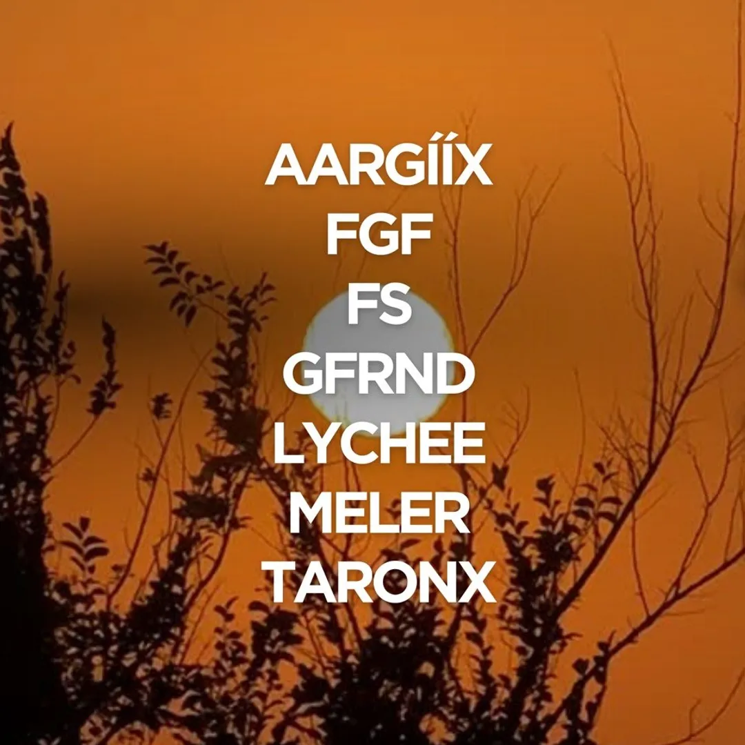 Morning Rave X San Marco